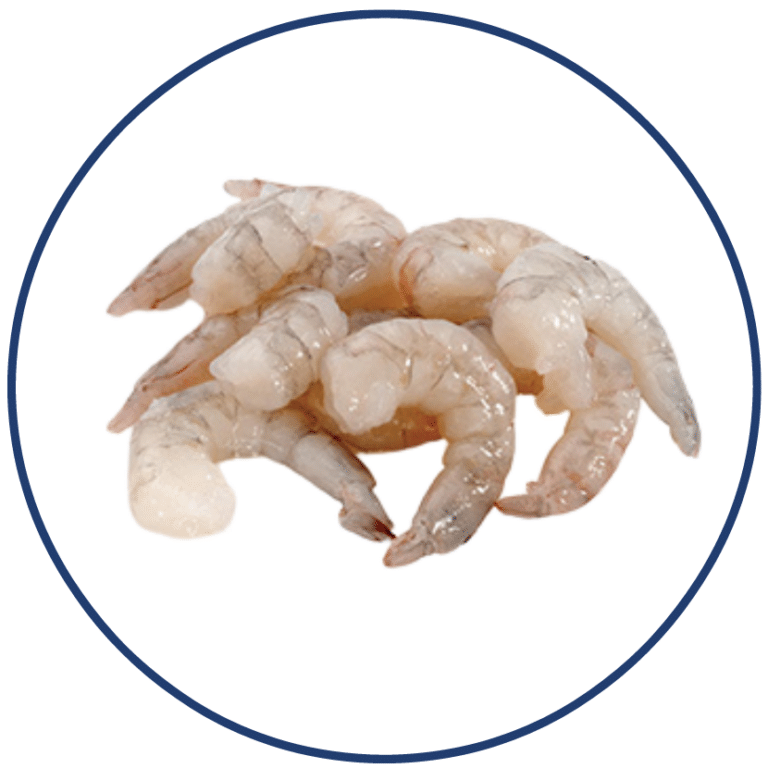 Vanamei shrimps PD e1611683036490